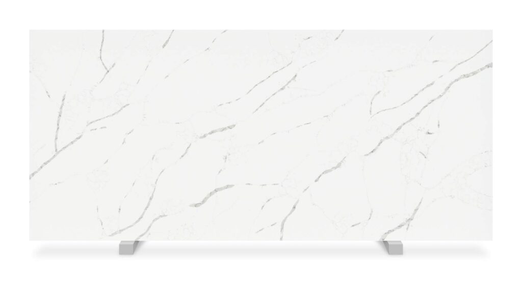 Macbeth Valiant Quartz HD