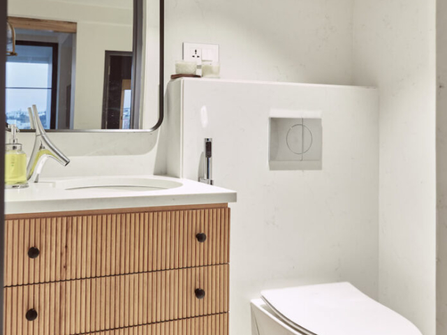 Amelia install 1 695x1024