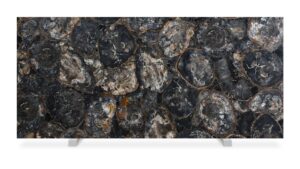 Black Petrified Wood