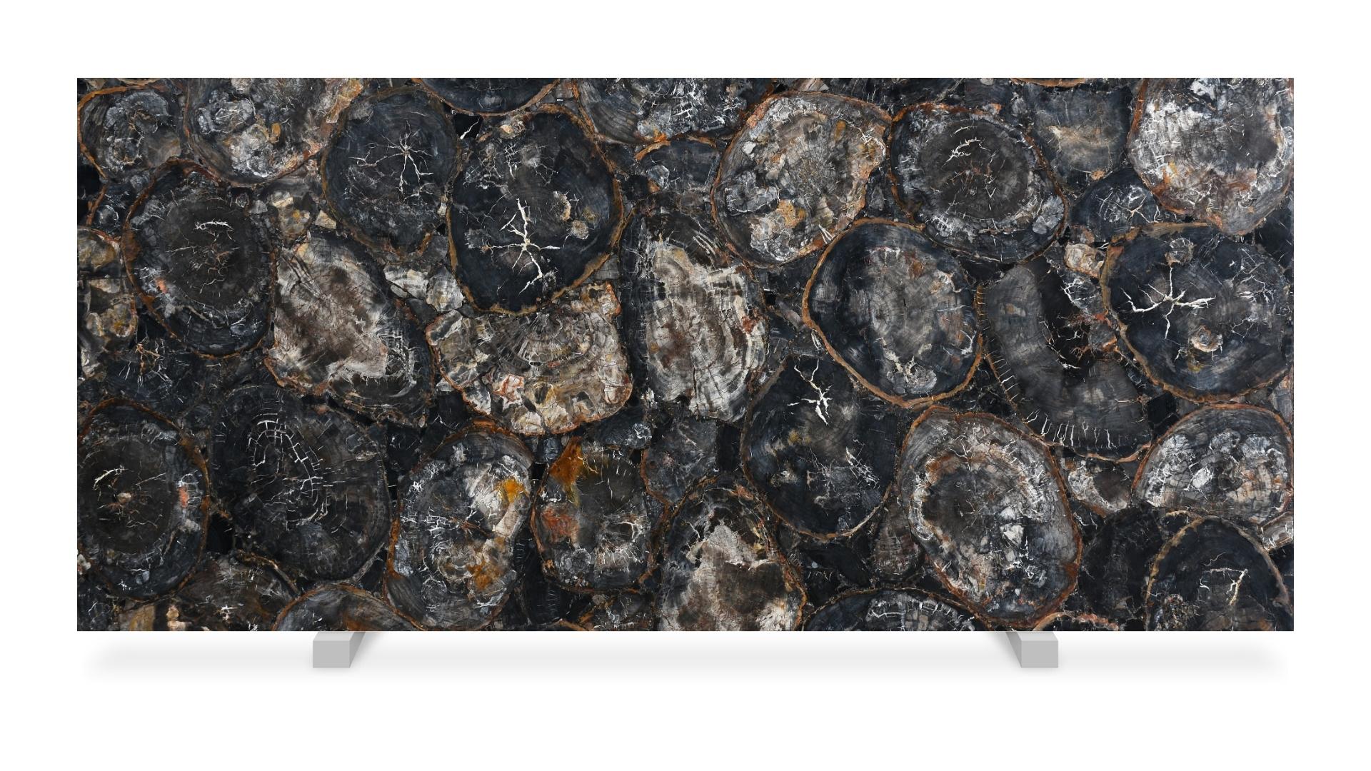 Black Petrified Wood Framed