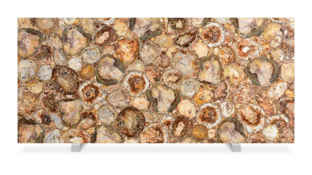 Petrified Wood Framed