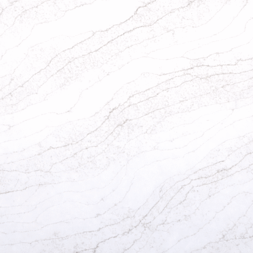 Calcatta Champage Closeup